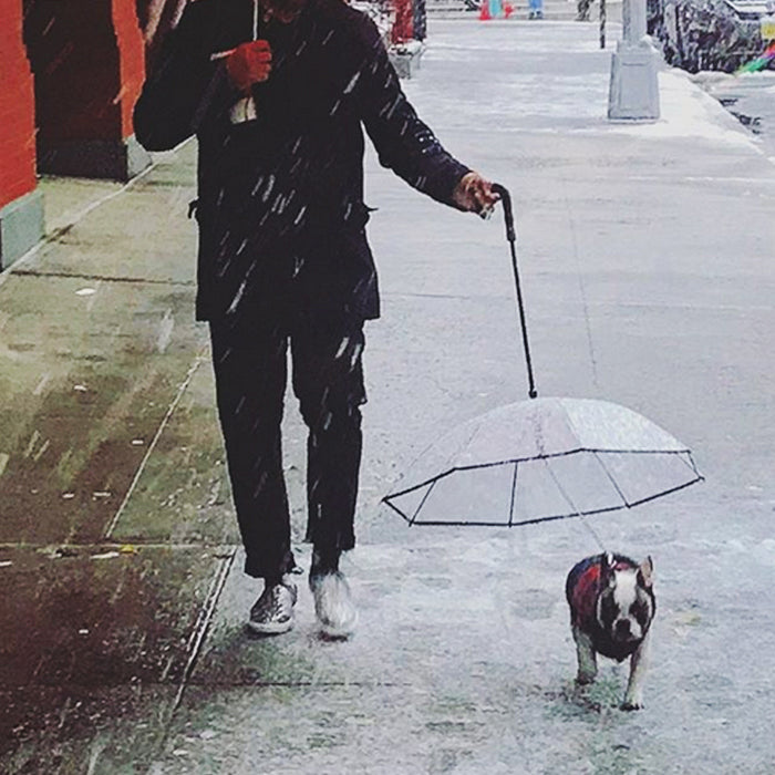 Transparent Pet Umbrella For Cat & Dog