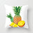 Fruit Home Decor Sofa Cushion Cover